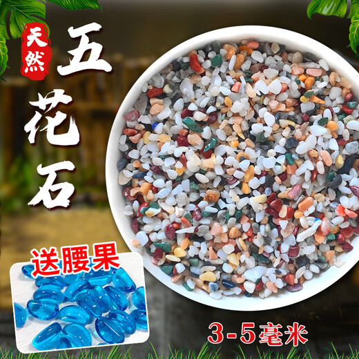 Runhuanian Pure Rain Flower Stone Potted Succulent Pavement Stone Small Multicolored Stone Fish Tank Pavement Ornamental Stone Colorful Small Stone Multicolored Stone 3-5mm 2Jin Jin is equal to 0.5 kg.
