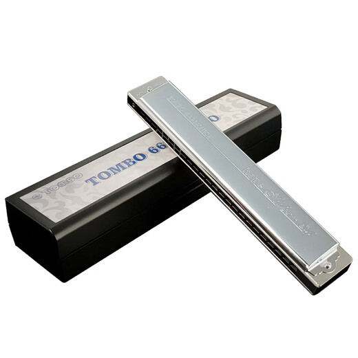 Tongbao TOMBO official 24-hole polyphonic harmonica 6624SPRO adult performance grade electroplating seat plate harmonica Am Harmony