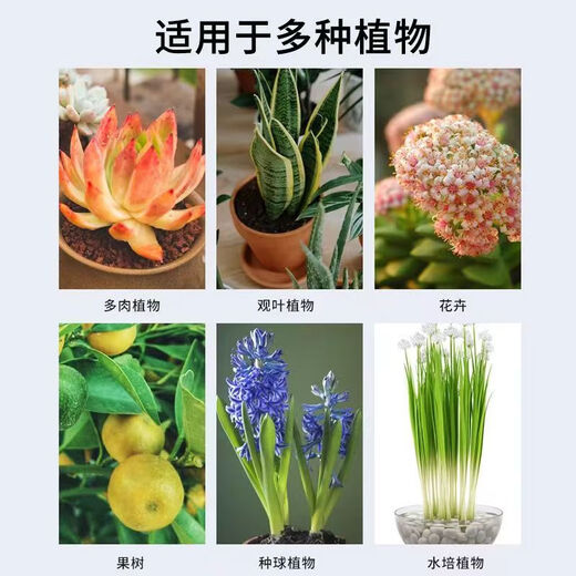 Osmanthus leaf blight yellow leaves scorched leaves Osmanthus tree special fertilizer nutrient solution dry tip leaf spot disease fungicidal medicine 1 bottle 400ml with nozzle