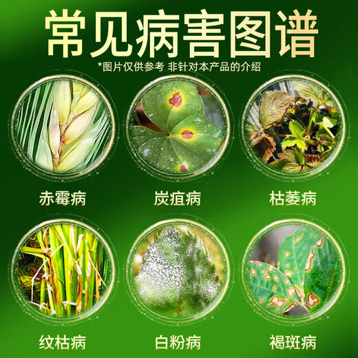 Hulian Plant Protection 30% Trichosporin Tebuconazole Fruit Tree Vegetables Wheat Rice Powdery mildew scab Pesticide Broad Spectrum Fungicide