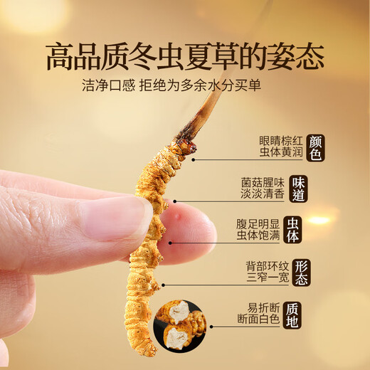 同仁堂品牌冬虫夏草约4根/g20g约80根虫草礼盒礼物高端午节礼物送人领导