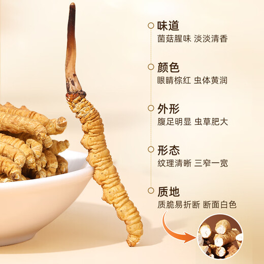 Lila und blaues Blumenmeer [NAQU, Tibet] Authentische wilde Cordyceps sinensis Neue getrocknete Cordyceps High-End-Ernährungsbox für Eltern und Älteste [NAQU, Tibet] Wild 5 Stücke/g 20g Packung