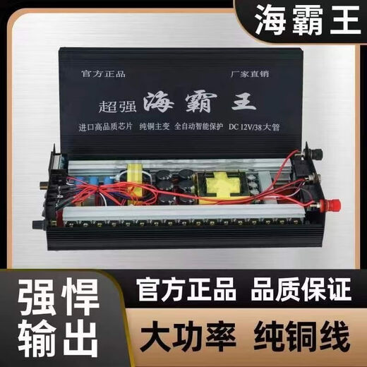 Inverter head deepwater new high-power inverter 12V multi-functional intelligent boost power converter high voltage intelligent 24-tube pure copper wire gift package