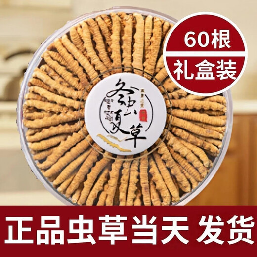Authentische Cordyceps Authentische Cordyceps 3 Wurzeln/G 50 Geschenkboxen Cordyceps Unbroken Gras Höhengeschenke 3 Wurzeln/G 3 Wurzeln (Spezifikationen) 30 Geschenkboxen