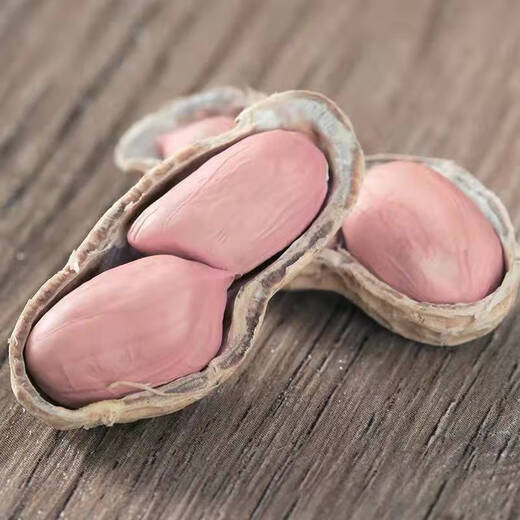 Peanut seeds Huayu 60 peanut original species extra large fruit size 1000 Jin is equal to 0.5kg. King first-class groundnut seed peanut - 500g (1000g is equal to 0.5kg)