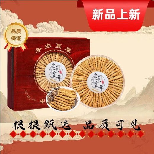 
Selected authentic snow mountain cordyceps sinensis genuine first-stage fresh cordyceps 50g gift box for 4 pieces/gram dry goods Tibet Nagqu Cordyceps 50 pieces gift box for 2 pieces/gram