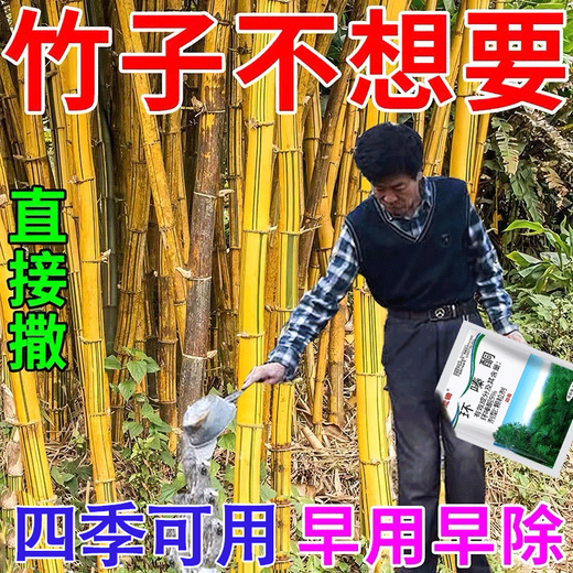 Cyclazinone is a special medicine to remove dead trees and rotten roots of large trees. Herbicide is a special medicine to remove big trees and remove rotten roots of bamboo. Genuine Cyclazinone 5Jin Jin is equal to 0.5kg