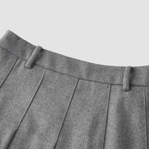 Semir Semir skirt women's imitation woolen skirt 24 winter new style A-line pleated skirt covers the crotch and looks slim 109724120001
