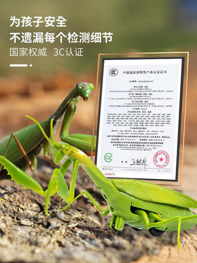 
Xiaoyan Remote Control Mantis Electric Simulation Toy Douyin Prank Artifact Cockroach Boys Moving Spider Crawling Small Animal Classic Version - Remote Control Ladybug Red Model 9922 Official Standard