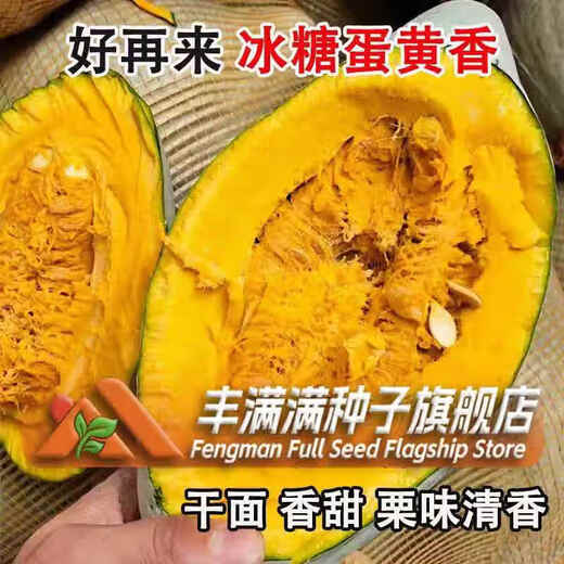 Qizhe rock sugar egg yolk scented pumpkin seeds dry sweet noodles noble ugly melon sweet chestnut pumpkin seeds Northeast golden chestnut rock sugar egg yolk scented pumpkin 2 packs + fertilizer