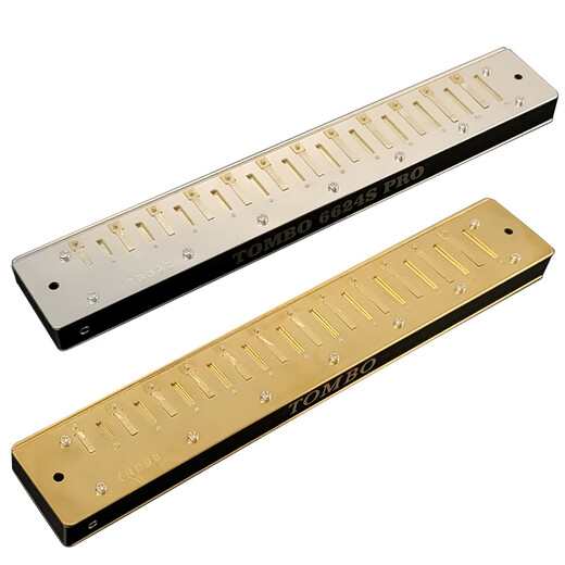 Tongbao TOMBO official 24-hole polyphonic harmonica 6624SPRO adult performance grade electroplating seat plate harmonica Am Harmony