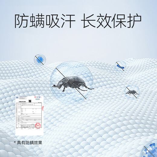 Catman Men's Socks Men's Breathable, Deodorant and Sweat-Absorbent 100% Cotton Mid-Tube Socks Sports and Leisure Basketball Socks 25 Years New Product