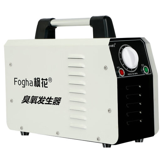 Maple ozone sterilizer ozone generator FH-CYJ1510A-W 10g factory workshop sterilization school unit disinfection car shop water disinfection