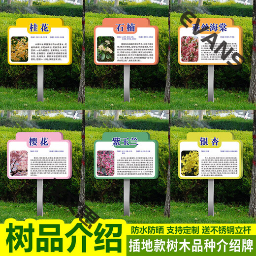 Ground type tree brand school park stainless steel plant greening information sign tree introduction sign care imitation CDSP-10 (surface covered with crystal + pole) 50x70cm