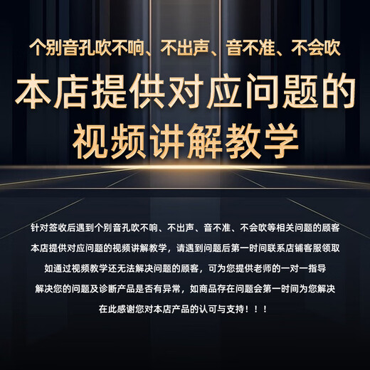 EAST TOP blues harmonica 10 holes T008L PADDY C key