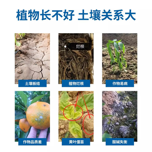 Qitu No. 1 special microbial agent Velez subtilis polyviscosity compound effective live bacteria stubble Yian fertilizer 2.5L/barrel*10 barrels