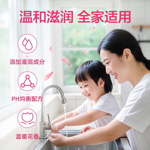 滴露（Dettol）洗手液消毒抑菌滋润500g+500g补充装儿童家庭护手替换