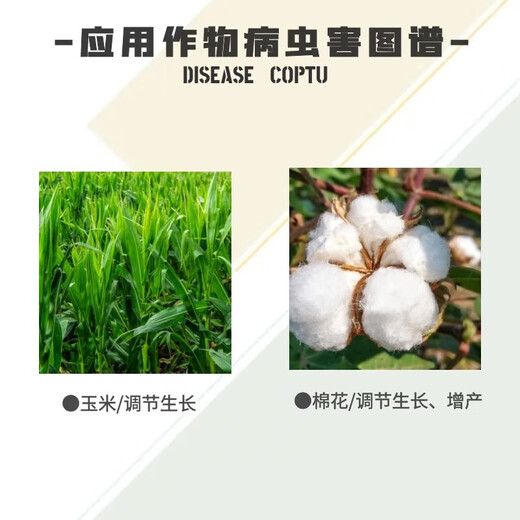 Xiaokang Xiaozhuangfeng 5% methylpiperazine fruit tree corn grape tomato cotton control pesticide plant growth regulator 500g