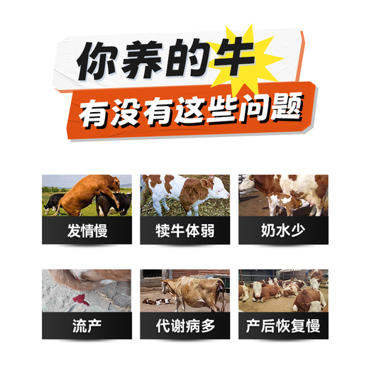 YINGMEIER cattle feed, special feed for breeding cows, cow mother premix, fattening and growth promotion agent, 5 bags (20kg per bag) 4% breeding cow premix for cows