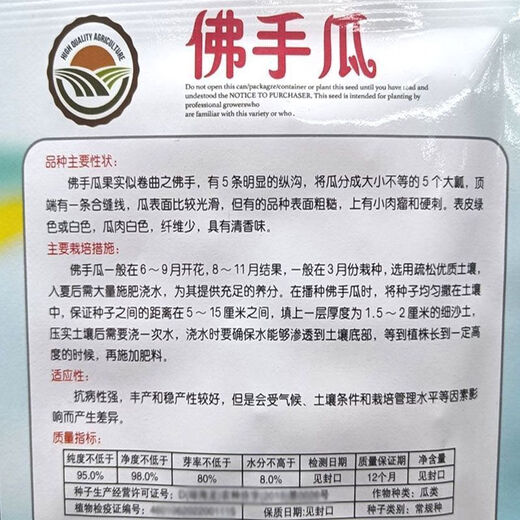 Shop Chayote Early Maturing Extra Large Chayote Vegetable Climbing High Yield Disease Resistant Perennial Melon Affordable Price High Yield Good - 40 Count - Net Seeds Chayote Seeds