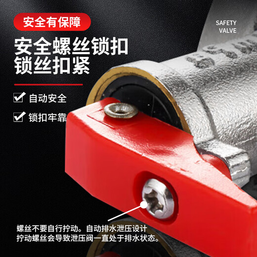 Whalewanhui universal water heater pressure relief valve adjustable pressure reducing valve safety valve 0.9mpa one-way check valve W916