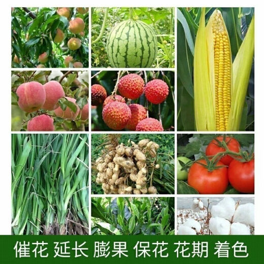 Amine fresh fat DA-6 original drug 98% 1000g one bag