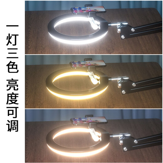 Bingge Master Mobile Phone Overhead Stand Desktop Live Broadcast Fill Light Video Recording Painting and Calligraphy Teaching Cantilever Stand Internet Celebrities Bring Goods Bedside to Watch Dramas and Watch TV Lazy Stand Desktop Model + 26cm Fill Light (10w)