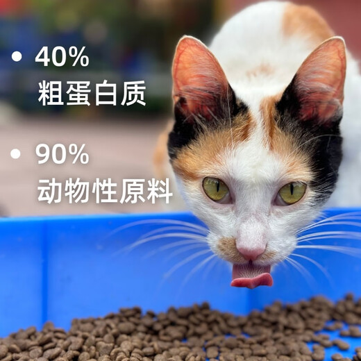 Mingzi Tuan Cat Food Nutritional Upgrade 15kg All-stage Universal High-Protein Nutritional Balance Grain-Free Staple Food Cat Food Liter 1.5kg