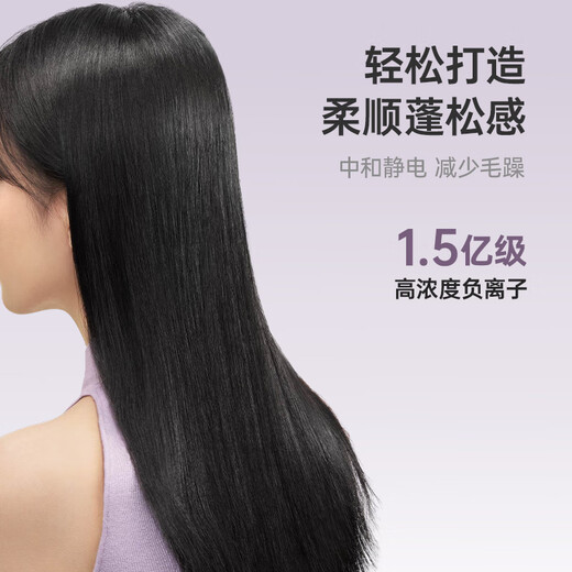 Laifen high-speed hair dryer, quick-drying hair care home hair dryer, negative ion hair dryer, birthday gift, SE lite blue gray + nozzle + stand