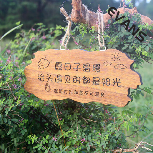 Solid wood carving decoration door sign simulation garden pendant B&B wooden sign balcony courtyard retro residential home custom 25*10.8CM (style 1) May your life be pure and worry-free