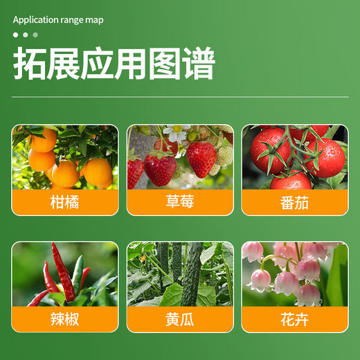 Saiin applies amino acid water-soluble fertilizer to resist disease and stress, promote growth and supplement trace elements foliar fertilizer 1000ml*10 bottles/box