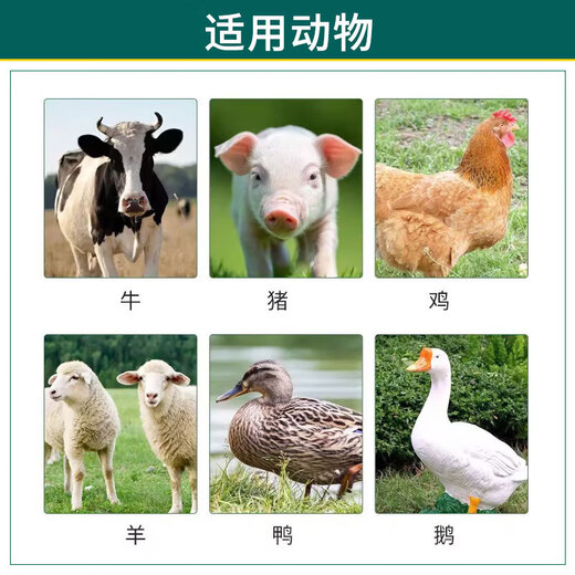 Banqing granules for veterinary antiviral cold and cough, heat-clearing and detoxifying feed additive for pigs, cattle, sheep, chickens, ducks, geese and poultry Banqing granules 6 bags