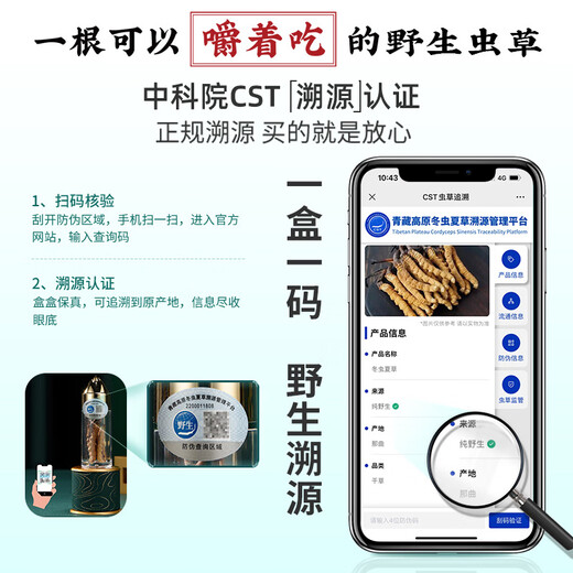 
Guokuntang [Wild traceable source] Guokuntang, Nagqu, Tibet, wild Cordyceps sinensis dried goods Cordyceps gift 5 sticks/gram 50 sticks 10 grams gift box