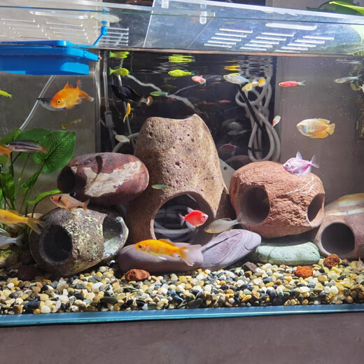 Runhuanian Real Stone Fish Nest Hide House Fish Tank Shrimp Aquarium Landscaping Decoration Turtle Terrace Hidden Cave Breeding House Three Passes Through Raw Stone Production Outer Diameter Length 8.5-11 cm