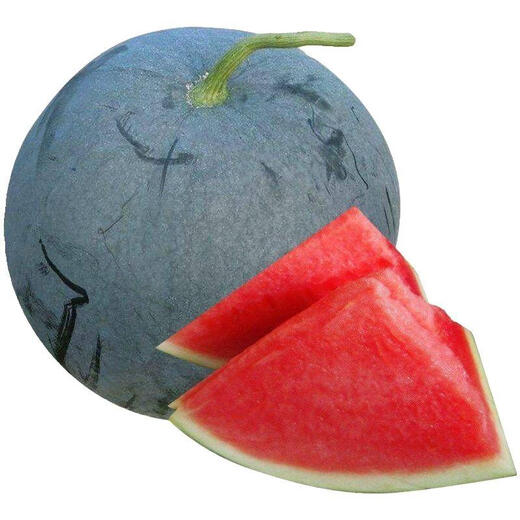 Qizhe seedless watermelon seeds with black skin and red flesh, extra large lazy super sweet giant seedless watermelon fruit seeds with crack-resistant melon, black skin and seedless watermelon 1 pack (40 pieces)