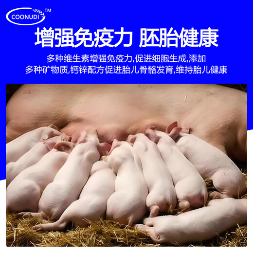 Zhengzhou Kangdi 8% lactating sow premix lactating sow feed feed pregnant sow premix replacement sow pregnant sow (breeding - 85 days of pregnancy)