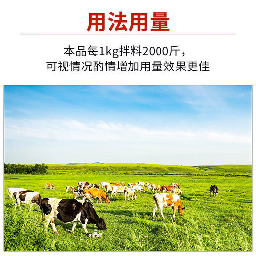 Rumen Bao, a special feed additive for calves that grows quickly, pulls the skeleton, digests, ruminates, strengthens the stomach, promotes fattening and increases weight, powerful Rumen Bao 1000g/bag
