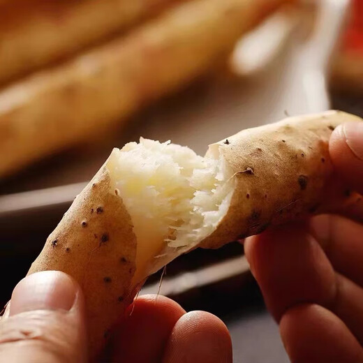 Hebei authentic iron bar yam, small white mouth iron bar yam, fresh yam, soft and waxy, sweet and fresh vegetables from the origin, 4Jin Jin is equal to 0.5kg, boxed (30cm-40cm)