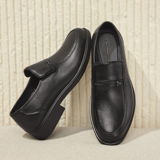 Red Dragonfly Men's Business Leather Shoes Commuting Soft Sole Dad Shoes Slip-on Men's Casual Shoes WTA43335 39