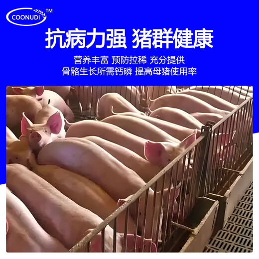 Zhengzhou Kangdi 8% lactating sow premix lactating sow feed feed pregnant sow premix replacement sow pregnant sow (breeding - 85 days of pregnancy)