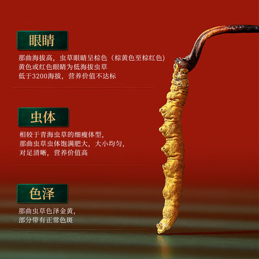 半山农【野生】冬虫夏草5条/克 8克40根礼盒 西藏那曲虫草滋补营养品