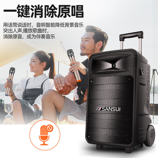 SANSUI square dance audio outdoor karaoke rod speaker Bluetooth indoor and outdoor performance camping singing and dancing all-in-one high-power wireless microphone subwoofer TB15 flagship version 15-inch dual microphone