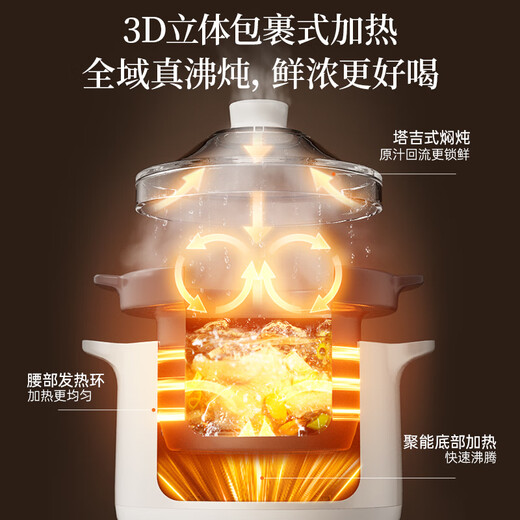 Bear electric stew pot, electric casserole, electric stew pot, soup pot, stew pot, special electric pot for soup, stew pot, electric stew pot for 3-4 people, purple clay pot, soup pot, 3L porridge pot DDG-K30N3