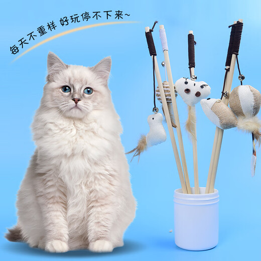 Pochido cat toy 5-piece set of cat amusing sticks, cats self-pleasure and relieve boredom, small mice with bells, bite-resistant, cats consume energy