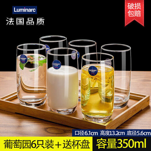Стеклянная чашка MARTIGUES, домашняя чашка для воды, чашка для чая, чашка для сока, чашка для молока, чашка для питьевой воды, чашка для напитков, набор из 6 предметов, 6 упаковок/290 мл, высокий стиль 13790 + подстаканник + чашка по умолчанию
