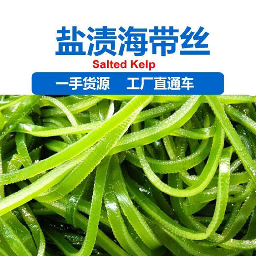 鲜海带 盐渍海带丝 海带凉拌菜鲜嫩 盐渍海带丝2.5kg