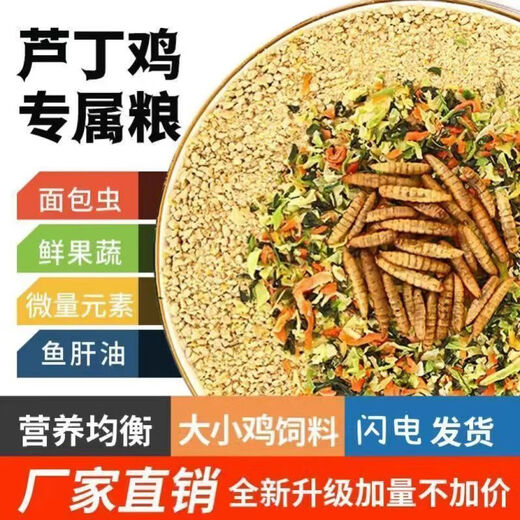 Rutin chicken special feed Rutin chicken egg production feed mealworm brooding feed quail feed high protein 5Jin Jin is equal to 0.5 kg egg production food containing mealworm dried vegetables