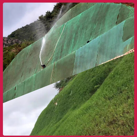 Galvanized chain link fence protective mesh orchard fence