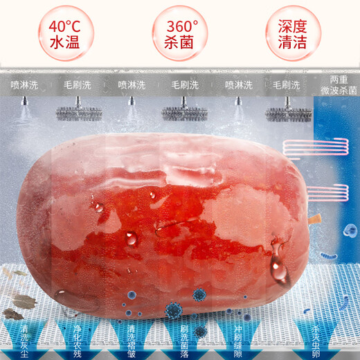 Vermisse Sie sehr viel, mit frei gewaschenen Xinjiang Red Datteln, 690g Geschenkboxverpackung, Sofort-Suppendaten