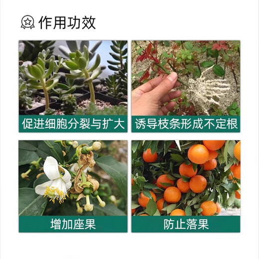 Guoguangshenghe 20% Naphthalene Acetic Acid Rooting Powder Powerful Plant Tree Large Tree Cutting Root Transplanting Rooting Agent Liquid Pesticide 5g